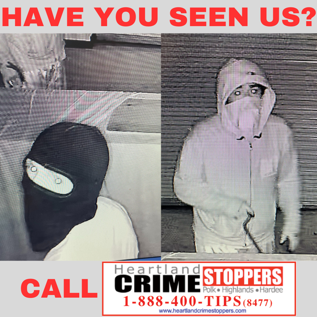 HAVE YOU SEEN US (1)