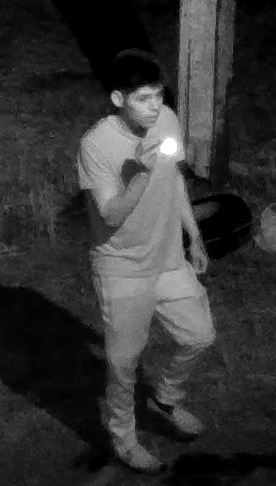 Frostproof suspect game camera theft